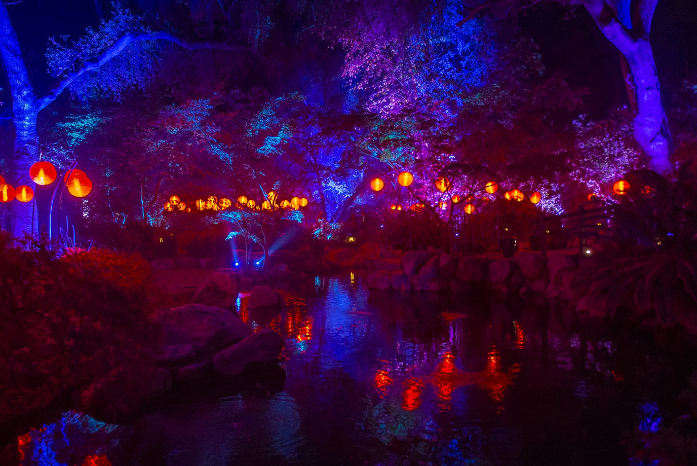 Lightswitch and 4Wall Transform Descanso Gardens into Enchanted: Fores