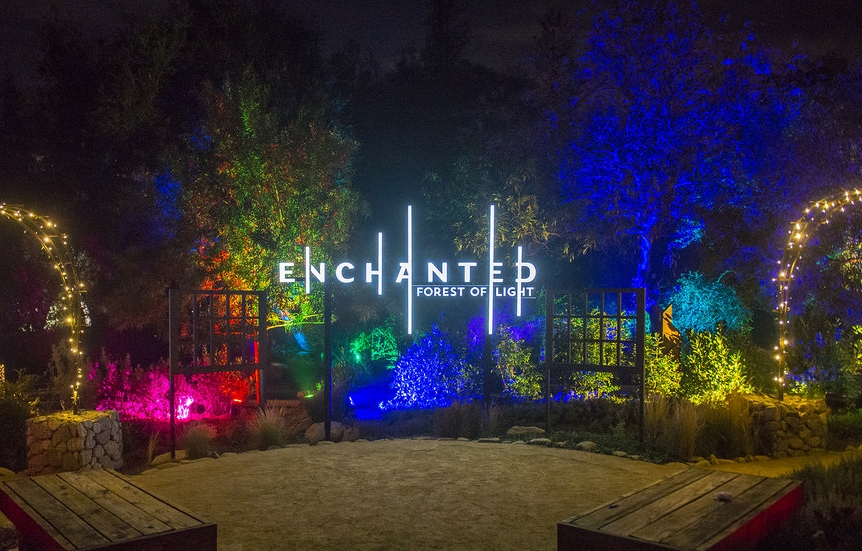 Lightswitch and 4Wall Transform Descanso Gardens into Enchanted: Fores