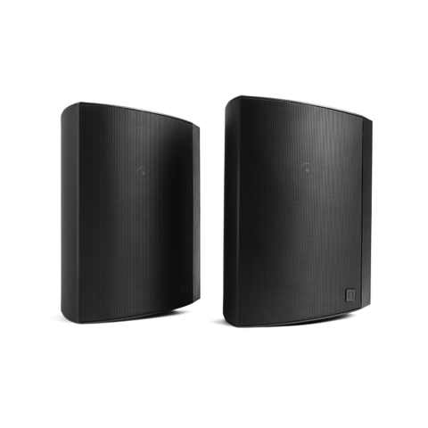 Definitive Technology Dymension AW-650 Outdoor Speaker
